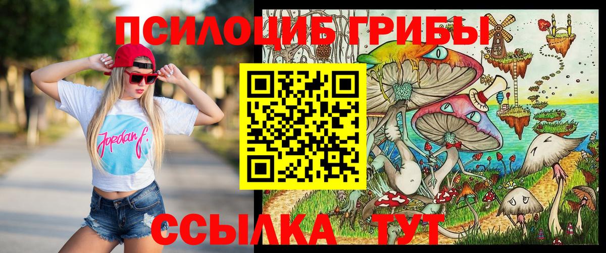 Галлюциногенные грибы Cubensis Дальнегорск