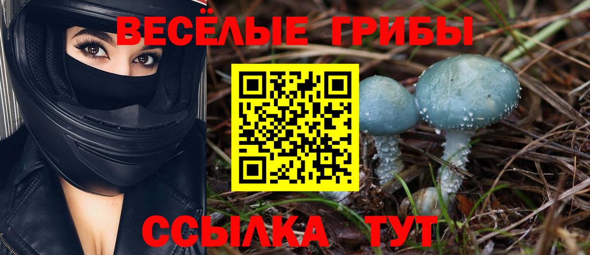 Псилоцибиновые грибы Psilocybine cubensis  Псилоцибиновые грибы Psilocybe  Дальнегорск 