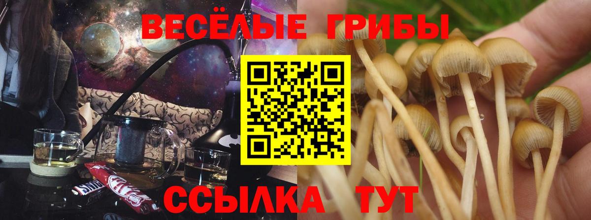 Псилоцибиновые грибы GOLDEN TEACHER  Галлюциногенные грибы GOLDEN TEACHER  Дальнегорск  Вход с VPN 